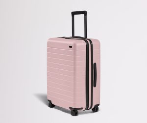 The Medium Flex in Blush Pink