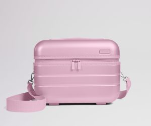 The Train Case in Glacial Pink