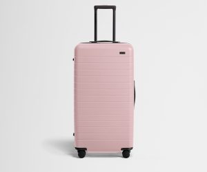 The Trunk in Blush Pink