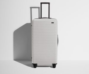 The Trunk in Cloud Gray