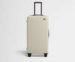 The Trunk in Salt White
